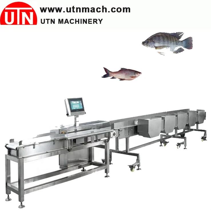 Abalone Grading Machine Abalone Grading Machine